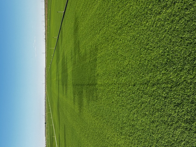 Certified turfgrass field